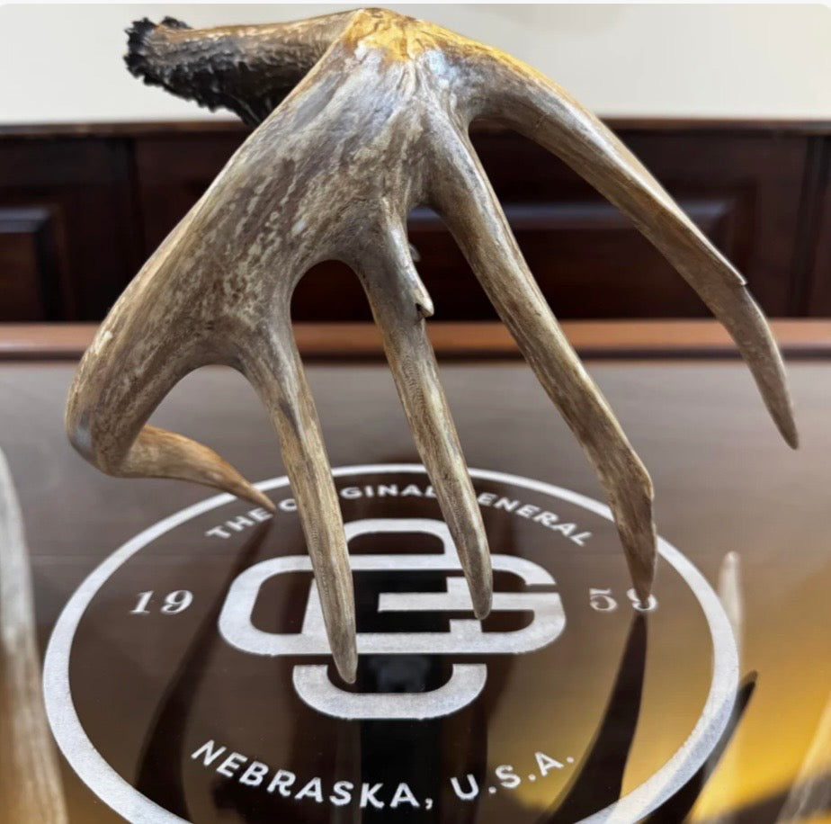 1/2 Scale Right Tine with Sticker Replica