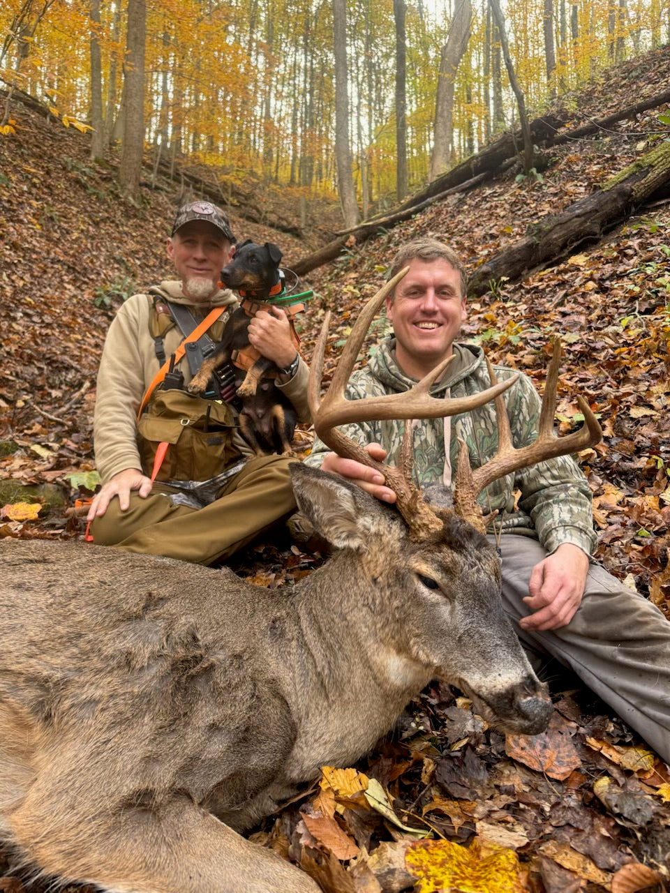 Point Restrictions and the Price of Public Trust: West Virginia's Latest Deer Management Debate