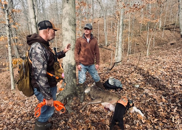 The Hidden Costs of "Free" Tracking: Why Professional Game Recovery Services Matter