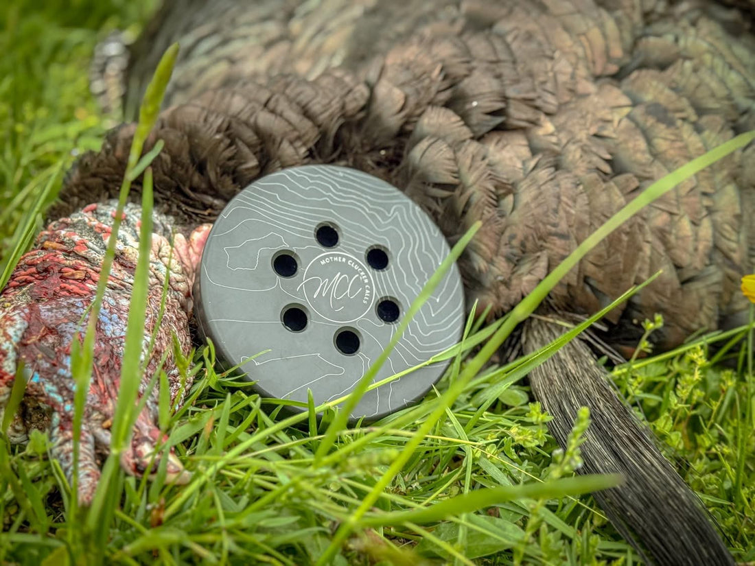Should West Virginia Spring Gobbler Hunting Go All Day?