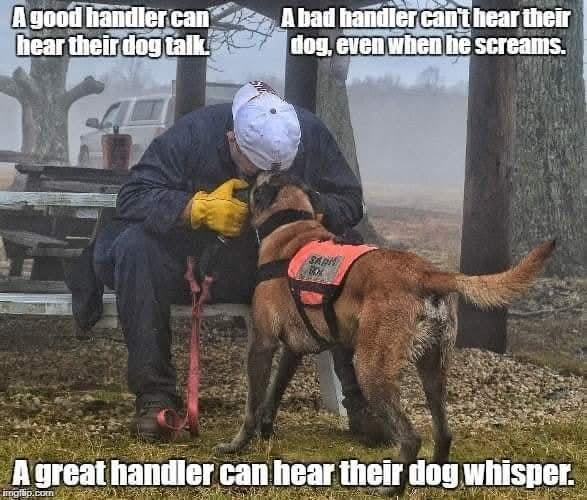Training a Tracking Dog: Profile System vs. Single Scent System