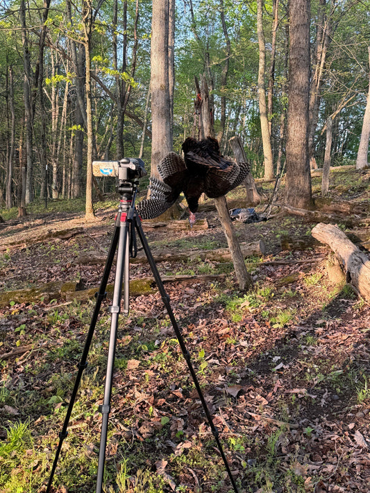 Hunting Has Always Been Commercialized. We Just Don't Like Admitting It.